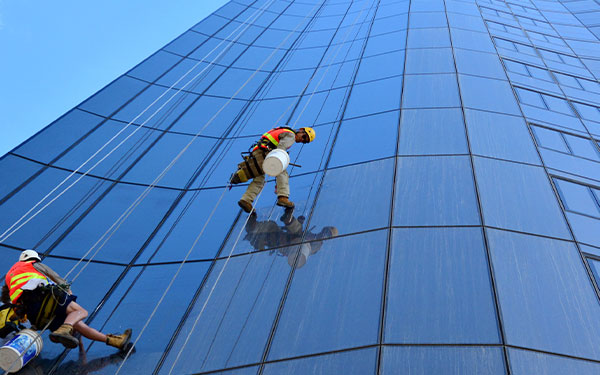 What Should You Look for in Professional Window Cleaning Services?